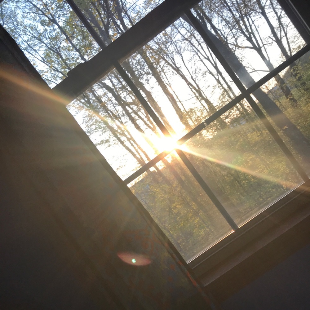 Meet your Posher, Trinity